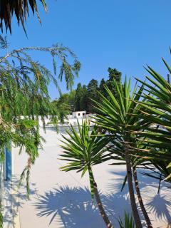 Joli Logement Climatisé 6 personnes Joli Camping à Agde - Agde - 6