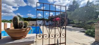 Villa Mimosa - Novigrad - 2