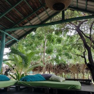 The Jungle House - Arugam Bay - 1