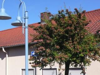 Ferienwohnung Rhönbauer Altengronau - Sinntal - 9