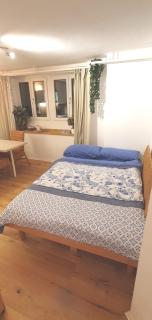 Stilvoll Gertrud Schlössli 1 Zi Studio - St. Gallen - 1