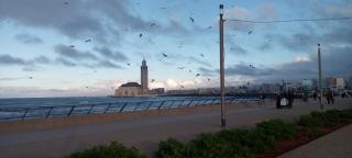 Moroccan Teguemi - Casablanca - 7