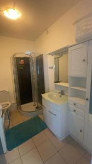 Appart de 5 chambres sur Nancy - Nancy - 9