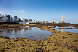 Apartamento en la playa cruz del mar chipiona - Chipiona - 2