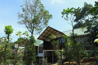 Coffee and Pepper Plantation Homestay - Thekkady - 3