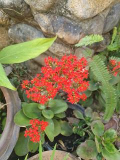 Mind's Homestay มายด์โฮมสเตย์ - 2