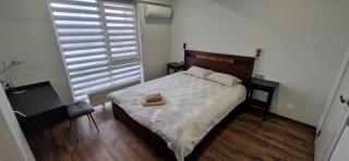 Decebal 99 Lux Apartment - 8