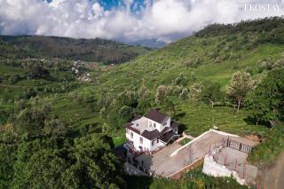 EKOSTAY I Pearl House Villa I 360 Degrees Tea Estate - Ooty - 3