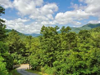 Firefly Lodge Private Log Cabin with Mountain Views! - Black Mountain - 5