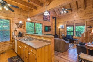 Firefly Lodge Private Log Cabin with Mountain Views! - Black Mountain - 3