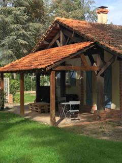 Chalet cozy au milieu des bois - Ménestreau-en-Villette - 1