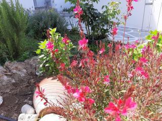 Bright town house - Kampos Paros - 4