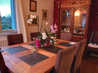 House near Paris...for the Olympics games or not ! - Saint-Nom-la-Bretêche - 6