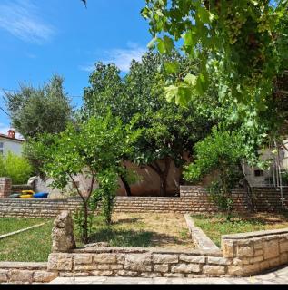 VILLA GIULIA - Ližnjan - 9