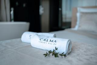 Exclusive Villa Calma I - heated pool&spa sea view - Starigrad-Paklenica - 9