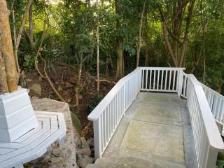 SummervilleBVI - Great Mountain - 2