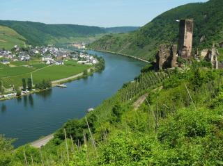Weingut im Moselkrampen - Ellenz-Poltersdorf - 3