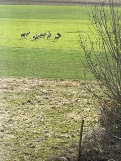 Feierabend - Gottmadingen - 0