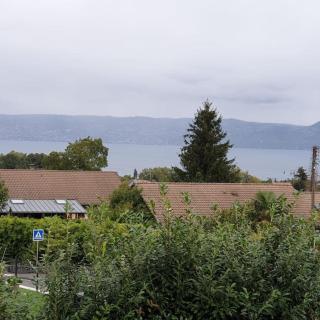 Studio cosy proche Evian - 2