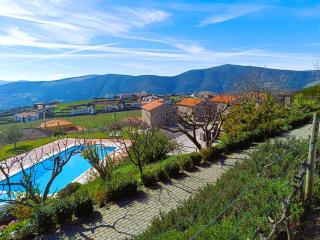 Quinta Manhas Douro - Provesende - 7