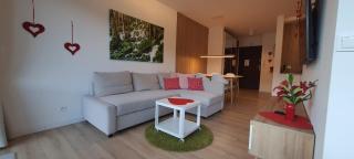 Triventi z widokiem na Śnieżkę - 4