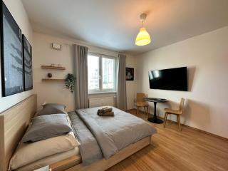 Cozy studio apartment in the wider center - Nivy - 0