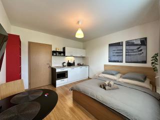Cozy studio apartment in the wider center - Nivy - 4