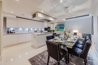 Palace Wharf Apartments - Londra - 4