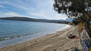 Lovely place in kamares 7 - Kamáres - 9