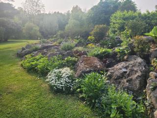Black Pine Tree House - Acton - 8