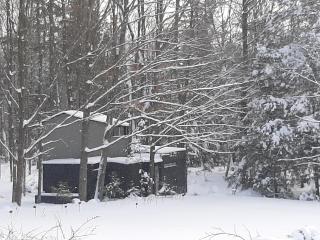 Black Pine Tree House - Acton - 1