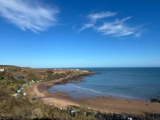 Milldown Glamping - 1