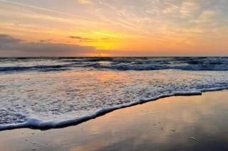 Patio Condo Poolside - Standard Sleeps 4 104 - 8