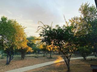 Kubu Bush Lodge - Hoedspruit - 1