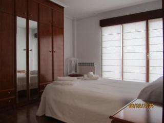 OLIVO 75 - Leza - 4