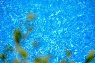 Hotel Boutique Bon Repos - Adults Only - Santa Ponsa - 5