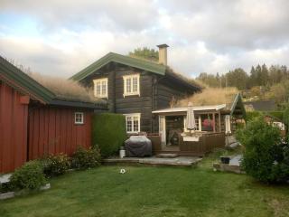 Tømmerhus nær Tusenfryd utenfor Oslo. - Ås - 0