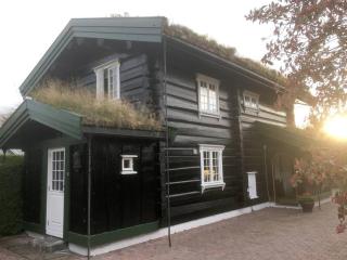 Tømmerhus nær Tusenfryd utenfor Oslo. - Ås - 2