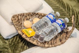 Le Tropicana proche aéroport CDG I Paris I Astérix - Dammartin-en-Goële - 8