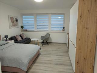 Studio apartman TARA - Daruvar - 9