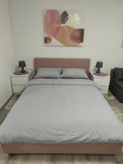 Studio apartman TARA - Daruvar - 8