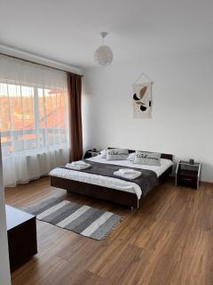 Vila Vibrant - Bran - 5