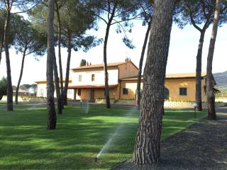 Borgo Bernabei - Buriano - 7