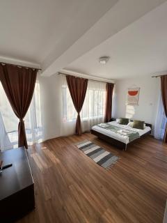 Vila Vibrant - Bran - 3
