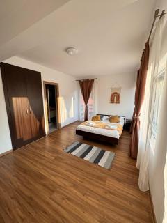 Vila Vibrant - Bran - 1