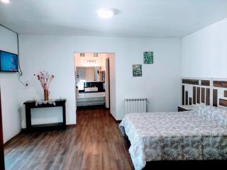 Tu casa de lujo en Mendoza! - 5