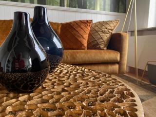 Super zonnige en ruime penthouse 50m van zeedijk - 1