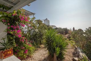 Apostolis Windmill - Psarrou - 9