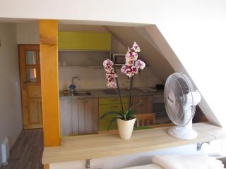 Apartma Zo-Vi Bled - Bled - 1