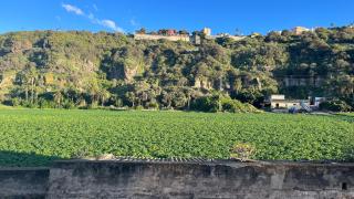La Calzada View - Tafira - 1
